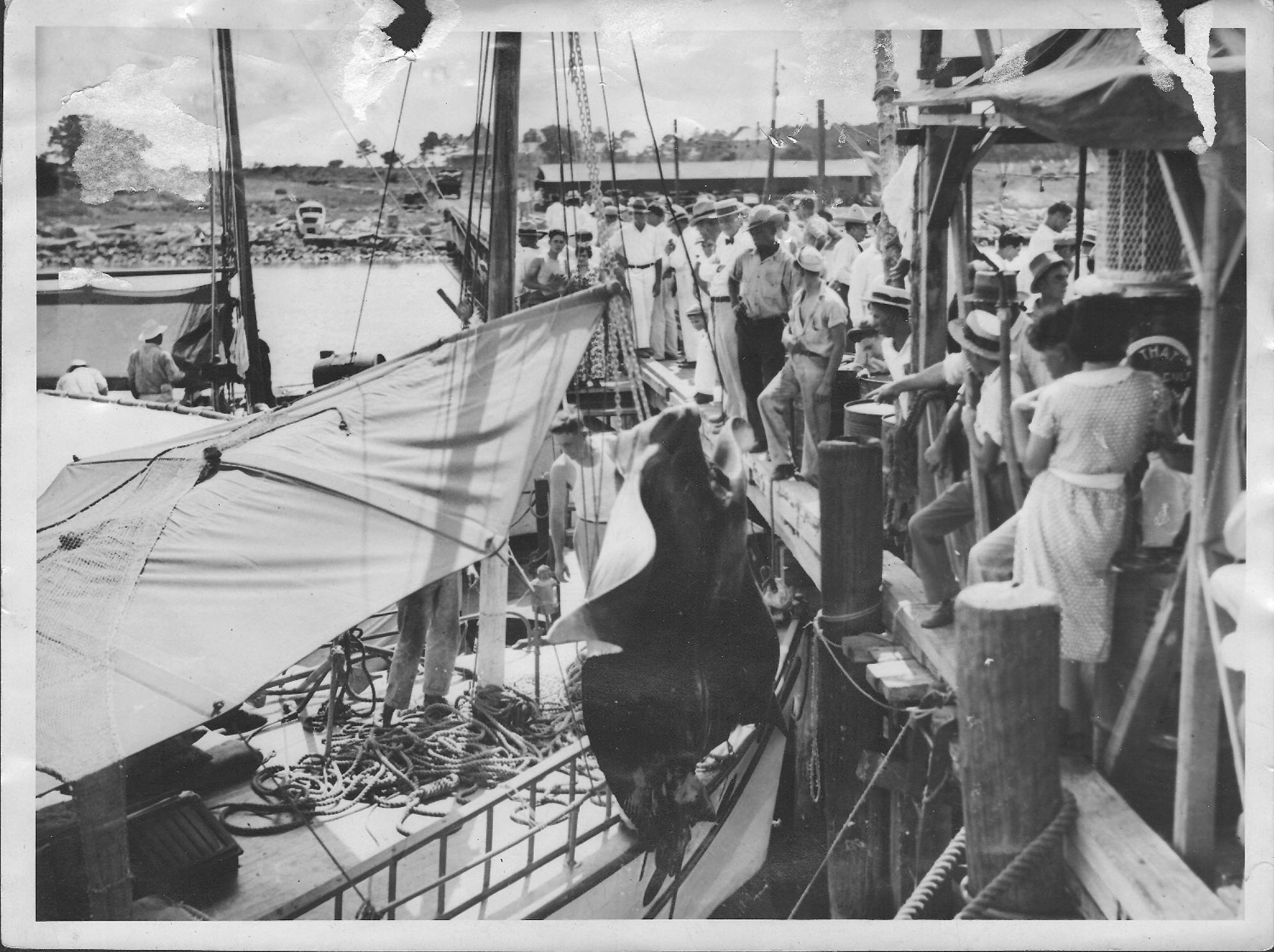 adsf_photo1930s_1995x1491